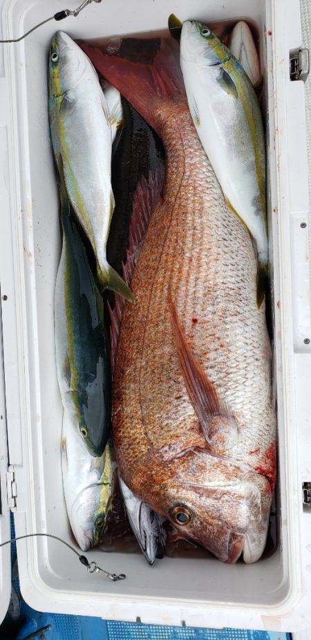 海龍丸(石川) 釣果