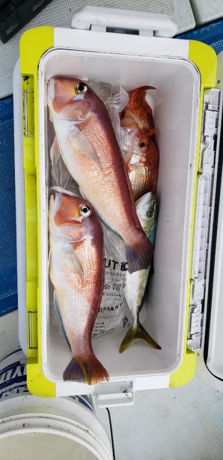 海龍丸（石川） 釣果