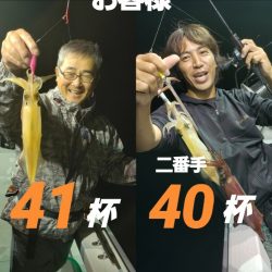 シーライオン 釣果