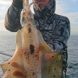 シースナイパー海龍 釣果