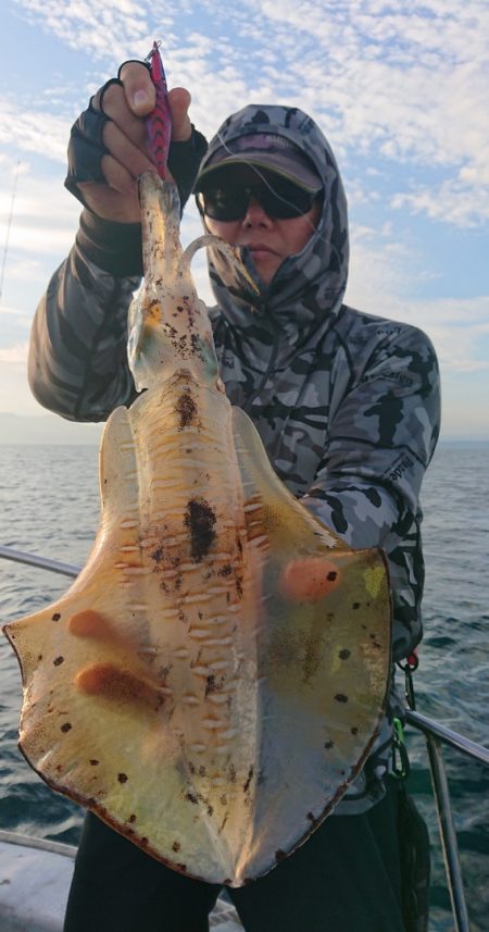 シースナイパー海龍 釣果