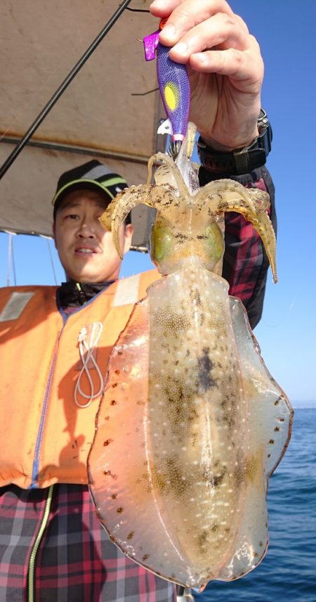シースナイパー海龍 釣果