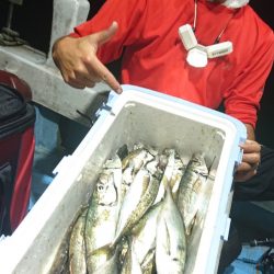 シースナイパー海龍 釣果