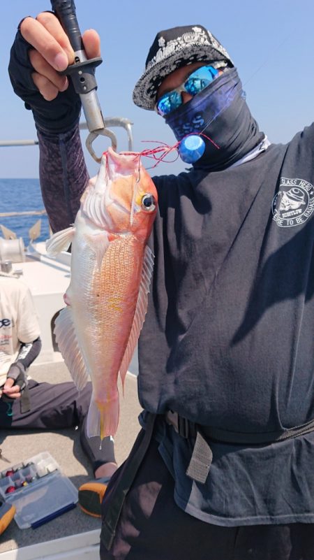 ARCADIAⅡ (アルカディアⅡ) 釣果