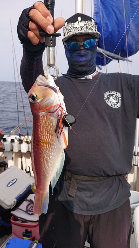 ARCADIAⅡ (アルカディアⅡ) 釣果