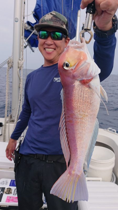 ARCADIAⅡ (アルカディアⅡ) 釣果