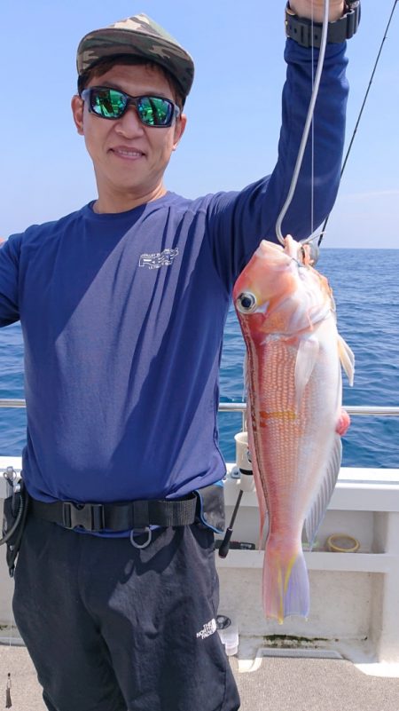 ARCADIAⅡ (アルカディアⅡ) 釣果