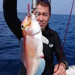 ARCADIAⅡ (アルカディアⅡ) 釣果