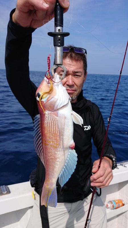 ARCADIAⅡ (アルカディアⅡ) 釣果