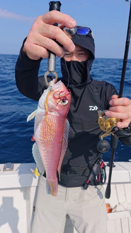 ARCADIAⅡ (アルカディアⅡ) 釣果