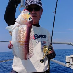 ARCADIAⅡ (アルカディアⅡ) 釣果