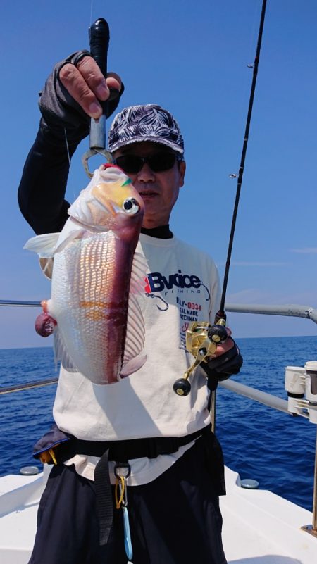 ARCADIAⅡ (アルカディアⅡ) 釣果