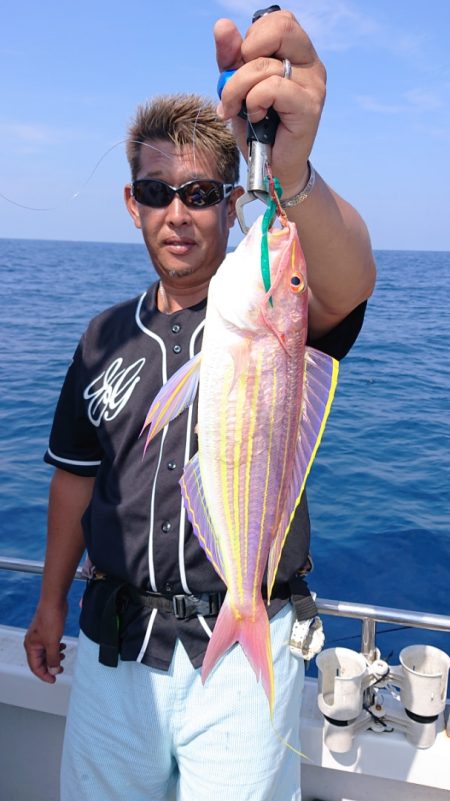 ARCADIAⅡ (アルカディアⅡ) 釣果