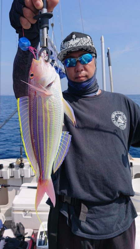 ARCADIAⅡ (アルカディアⅡ) 釣果