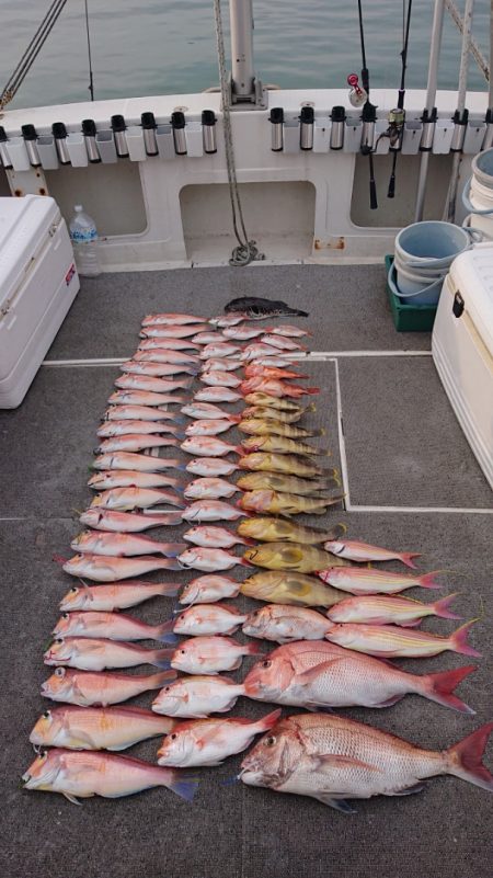 ARCADIAⅡ (アルカディアⅡ) 釣果