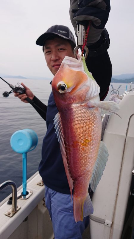 ARCADIAⅡ （アルカディアⅡ） 釣果