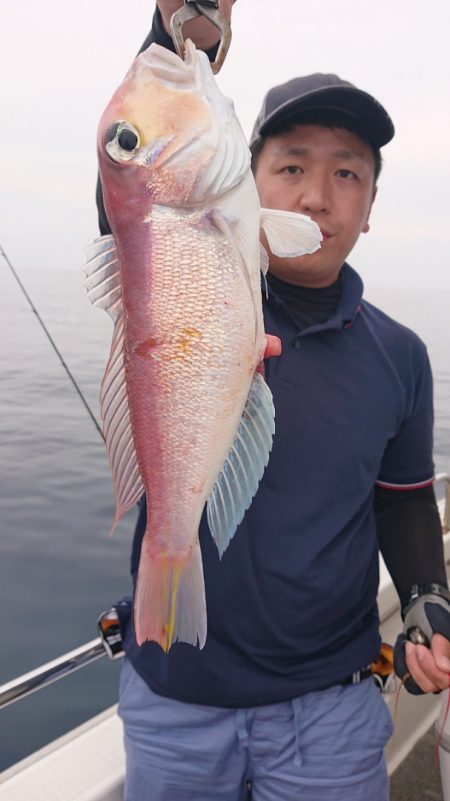 ARCADIAⅡ （アルカディアⅡ） 釣果