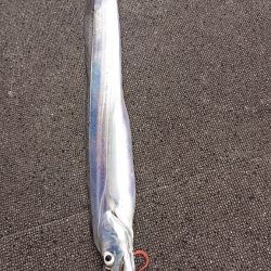 ARCADIAⅡ （アルカディアⅡ） 釣果