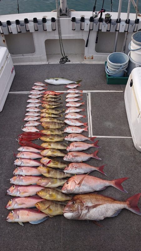 ARCADIAⅡ （アルカディアⅡ） 釣果