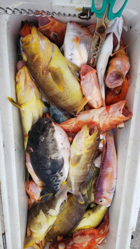 第二龍勢丸 釣果