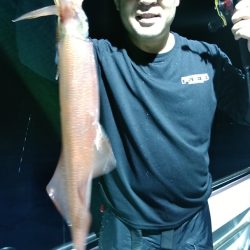 LUSTER『ラスター』 釣果