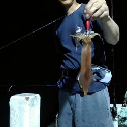 LUSTER『ラスター』 釣果