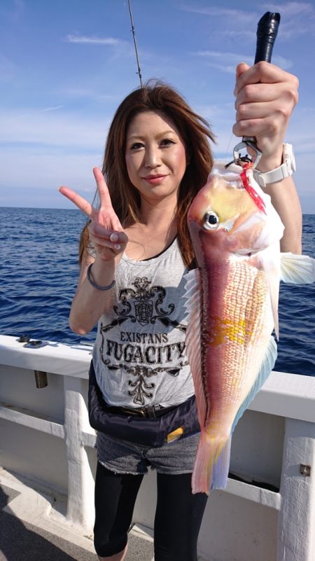 ARCADIAⅡ (アルカディアⅡ) 釣果