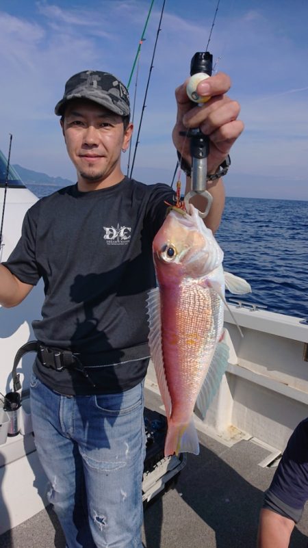 ARCADIAⅡ (アルカディアⅡ) 釣果