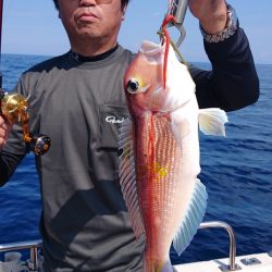 ARCADIAⅡ (アルカディアⅡ) 釣果