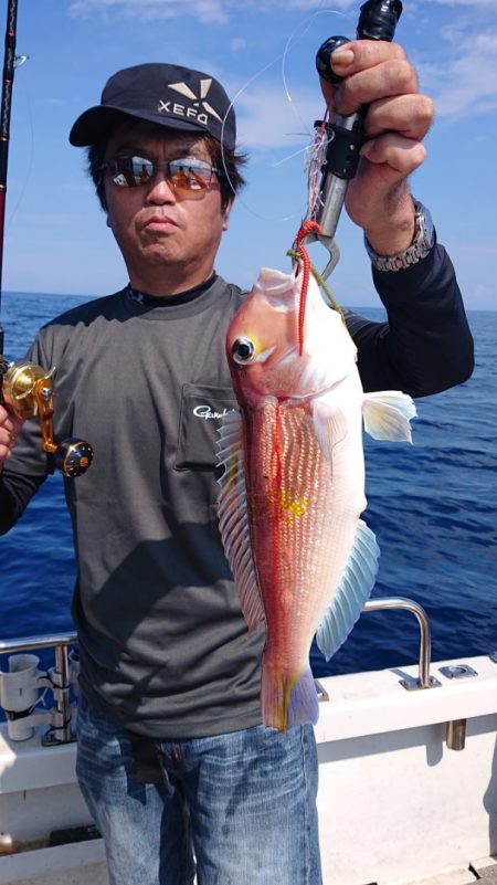 ARCADIAⅡ (アルカディアⅡ) 釣果