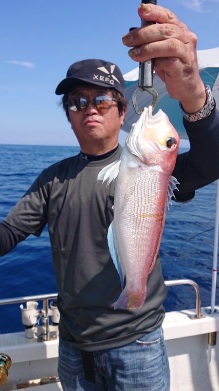 ARCADIAⅡ (アルカディアⅡ) 釣果