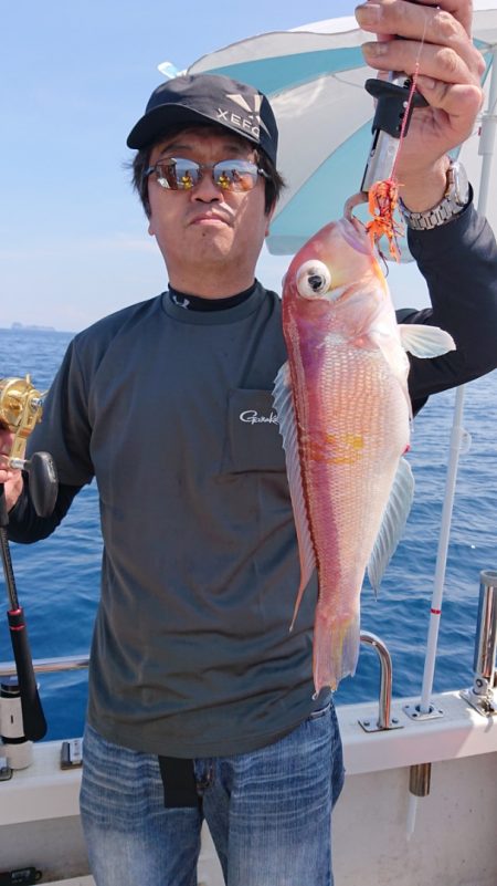 ARCADIAⅡ (アルカディアⅡ) 釣果