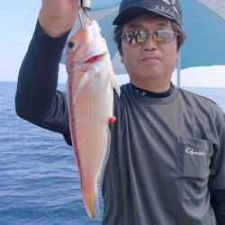 ARCADIAⅡ (アルカディアⅡ) 釣果