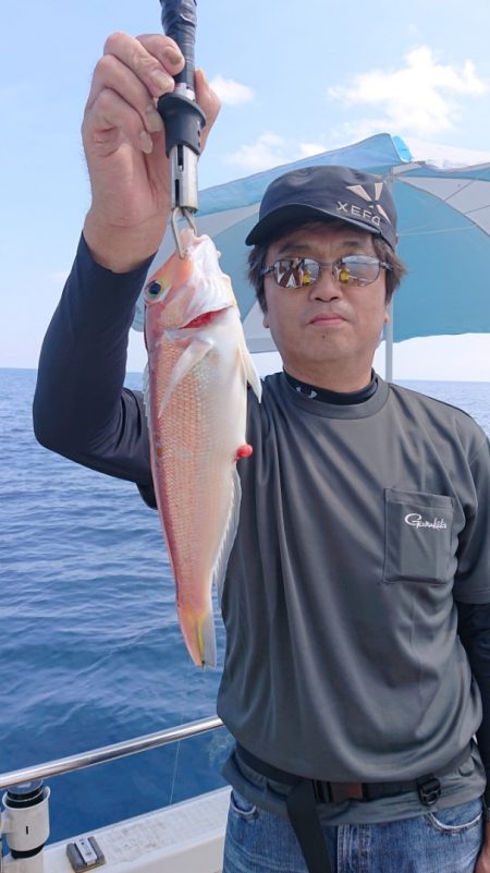 ARCADIAⅡ (アルカディアⅡ) 釣果