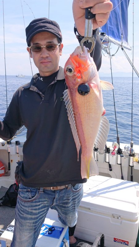 ARCADIAⅡ (アルカディアⅡ) 釣果