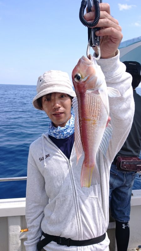 ARCADIAⅡ (アルカディアⅡ) 釣果