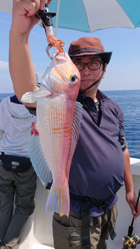 ARCADIAⅡ (アルカディアⅡ) 釣果