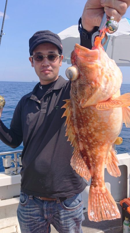 ARCADIAⅡ (アルカディアⅡ) 釣果