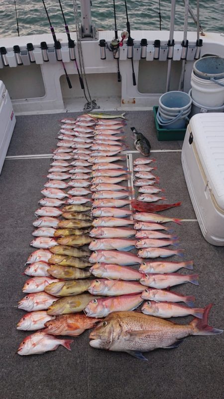 ARCADIAⅡ (アルカディアⅡ) 釣果