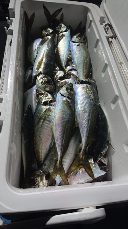 シースナイパー海龍 釣果