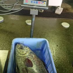 進誠丸 釣果