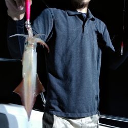 LUSTER『ラスター』 釣果