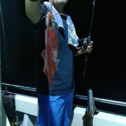 LUSTER『ラスター』 釣果