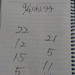 金沢八景鴨下丸 釣果