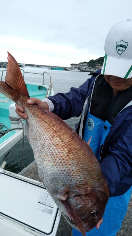 富士丸 釣果