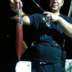 LUSTER『ラスター』 釣果