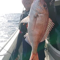 だて丸 釣果