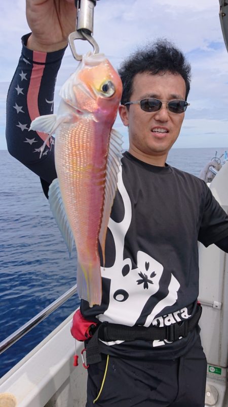 ARCADIAⅡ （アルカディアⅡ） 釣果