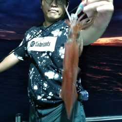 LUSTER『ラスター』 釣果