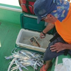 金沢八景鴨下丸 釣果